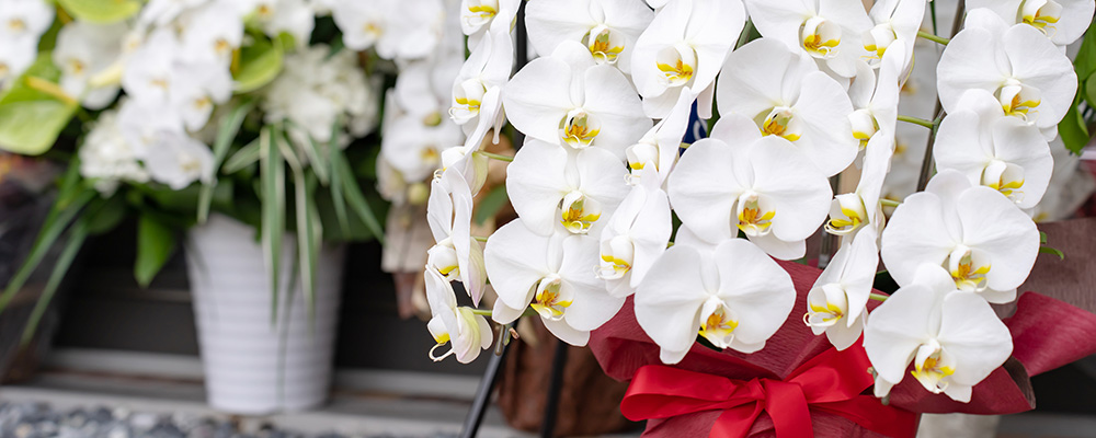 オンラインショップ